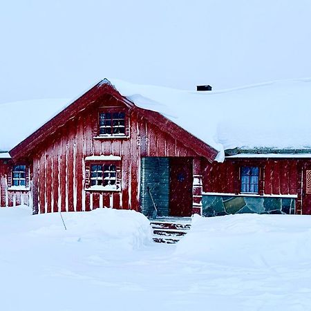 Large Cabin Sjusjoen Best View, Sauna, Ski Inout מראה חיצוני תמונה