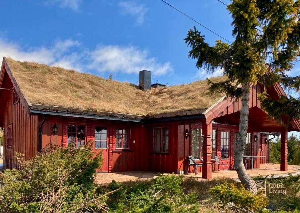 Large Cabin Sjusjoen Best View, Sauna, Ski Inout מראה חיצוני תמונה