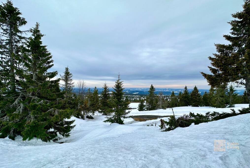 Large Cabin Sjusjoen Best View, Sauna, Ski Inout מראה חיצוני תמונה